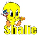 shalie