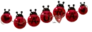 Laura Lady Bug
