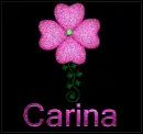 Carina
