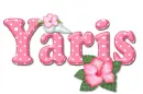Pink Hibiscus: Yaris