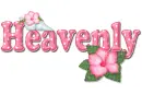 Pink Hibiscus: Heavenly