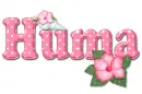 Pink Hibiscus: Huma