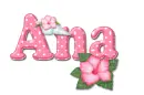 Pink Hibiscus: Ana