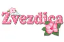 Pink Hibiscus: Zvezdica