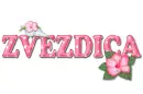 Pink Hibiscus: ZVEZDICA