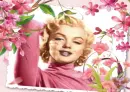 spring marilyn
