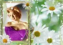 spring daisies