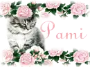 Silver Cat and Roses Pami