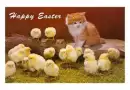 EASTER