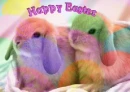 Easter Bunnies