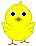 chick