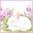 spring bunny