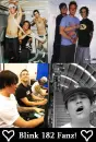 Blink 182 Fanz!