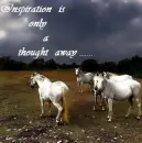 insparation is only a thought away