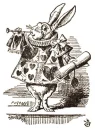 White rabbit