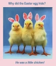 EASTER CHICKS