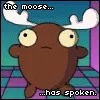 the moose has spoken