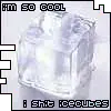 i am so cool