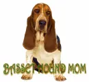 JESSI BASSET HOUND MOM