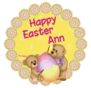  Ann