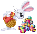 Happy Easter Bunny!