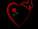 I Got A Heart