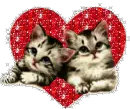 Kitties