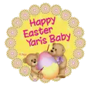  YarisBaby