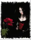 The Rose