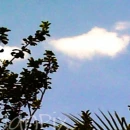 blue sky