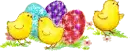 easter chicks and eggs