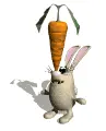 balancing a carrot
