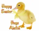 happy easter Aletha