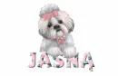 JASNA