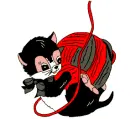 cat
