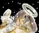 Bren