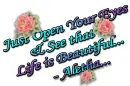 Life is Beautiful: Aletha