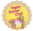  Cindi
