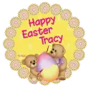  Tracy