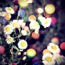 vintage :)