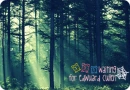 waiting for edwuard cullen