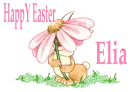 Easter bunny