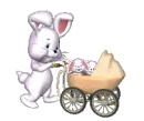 mom rabbit and bunnies