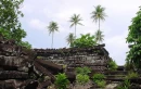 Palms