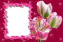 Flower Frames