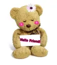 Cute bear