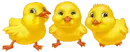 Trio