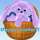Bunny