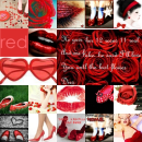 Red Roses