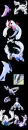 Lugia